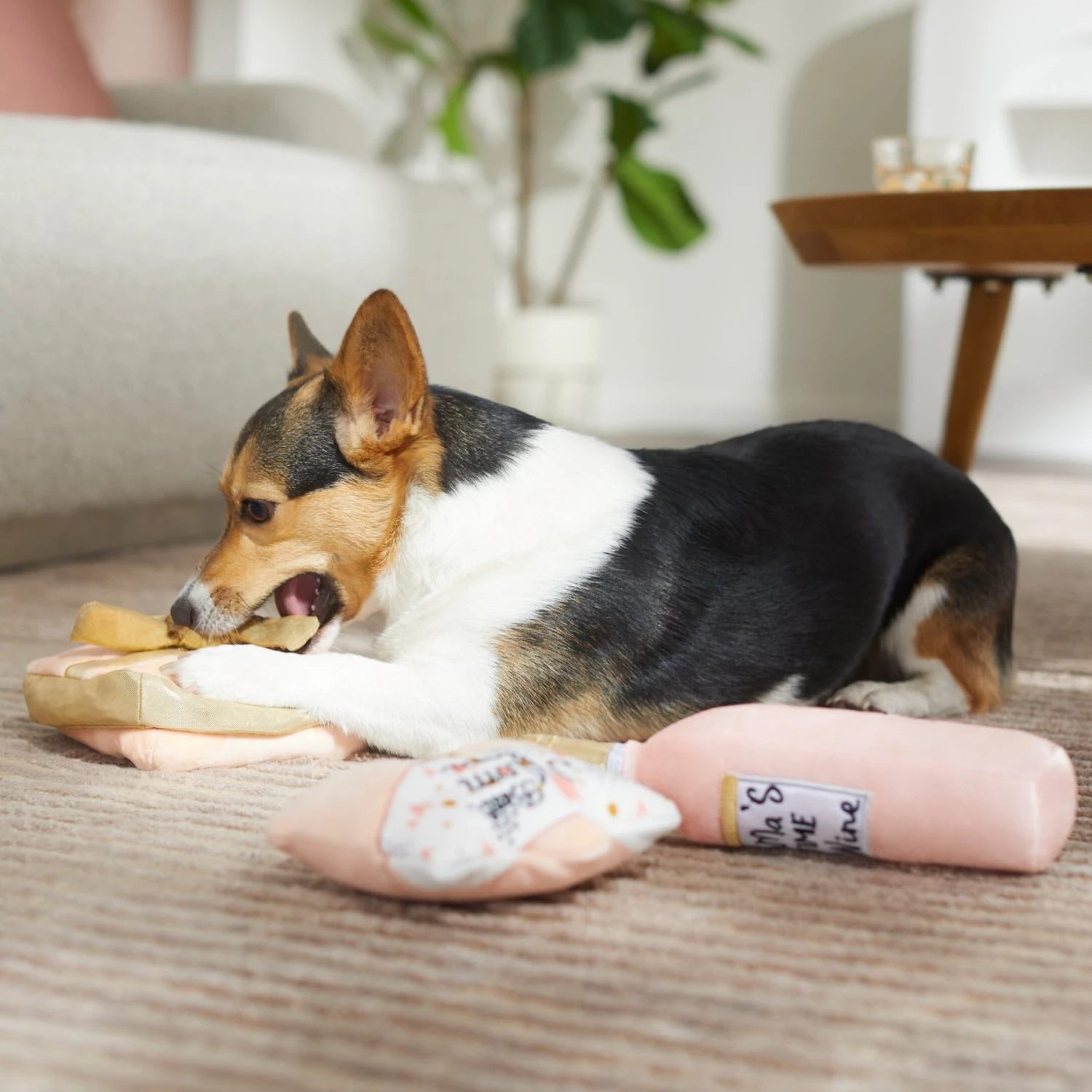 Frisco Mother's Day Gifts Plush Squeaky Dog Toy, 3 Count - Image 3