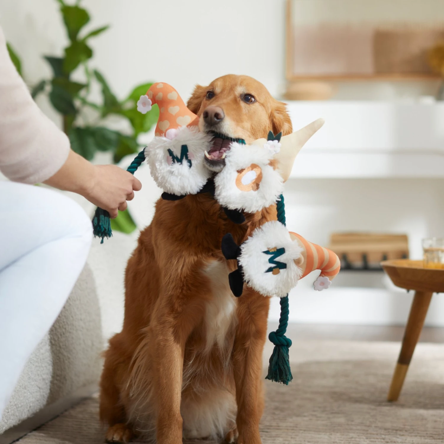 Frisco Mother's Day Gnomes Plush With Rope Squeaky Dog Toy - Image 3