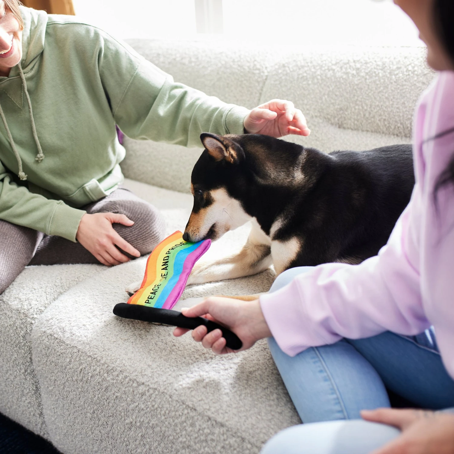 Frisco Pride Flag Flat Squeaky Dog Toy - Image 3