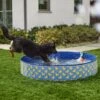 Frisco Outdoor Dog Swimming Pool, Rubber Ducky