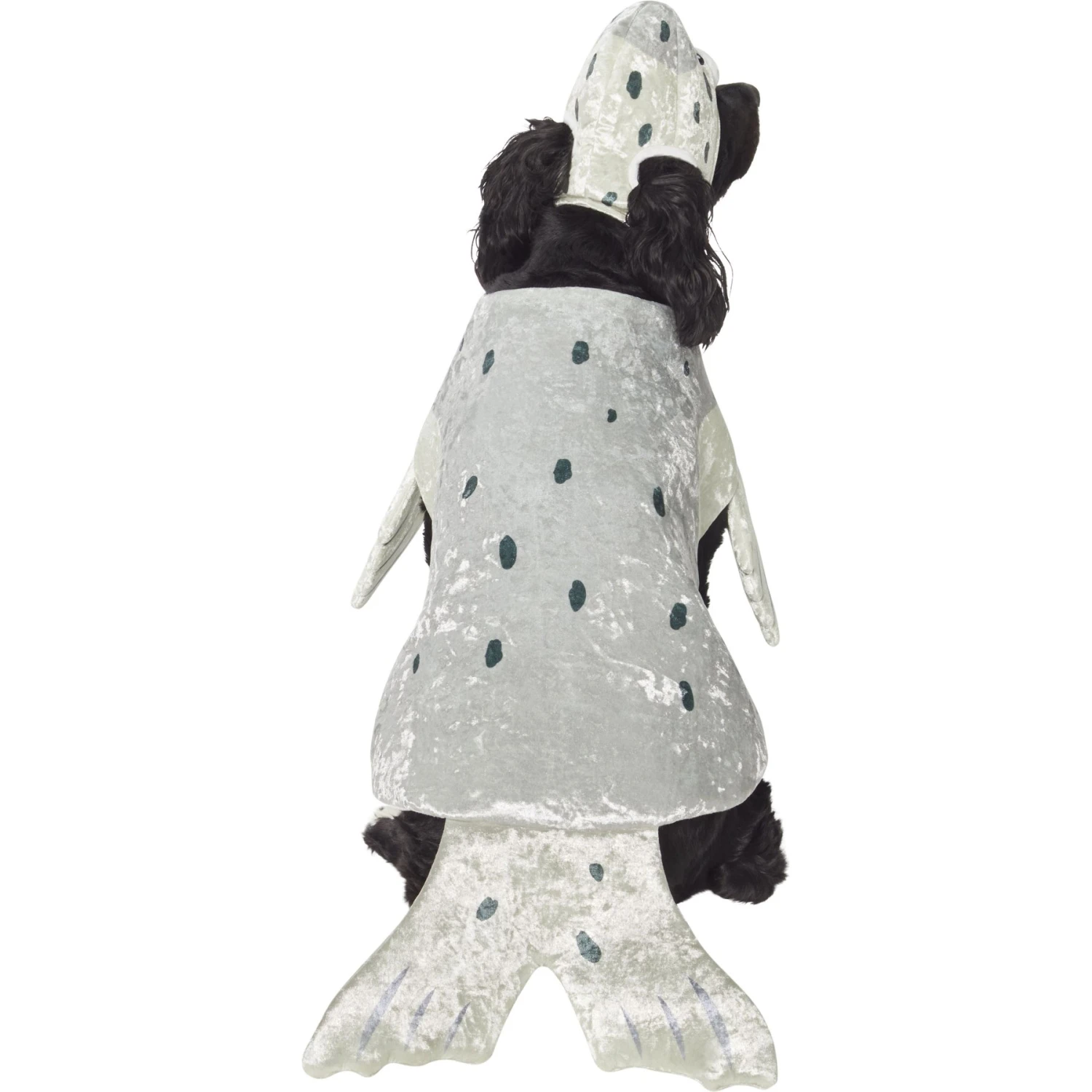 Frisco Seal Dog & Cat Costume - Image 3