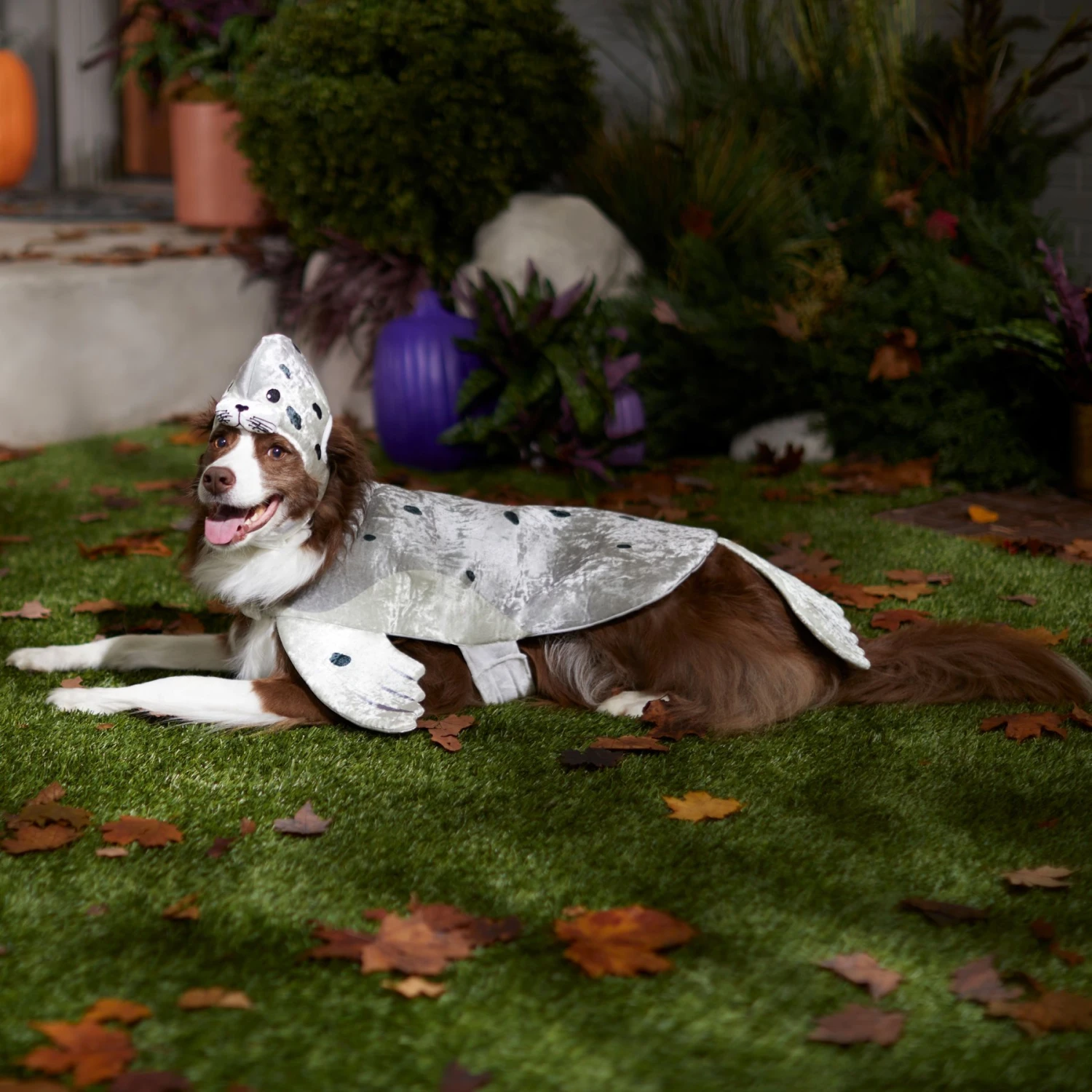 Frisco Seal Dog & Cat Costume - Image 6