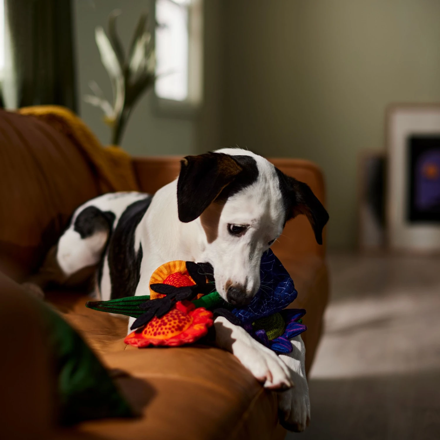 Frisco Halloween Bouquet Plush Squeaky Dog Toy - Image 3