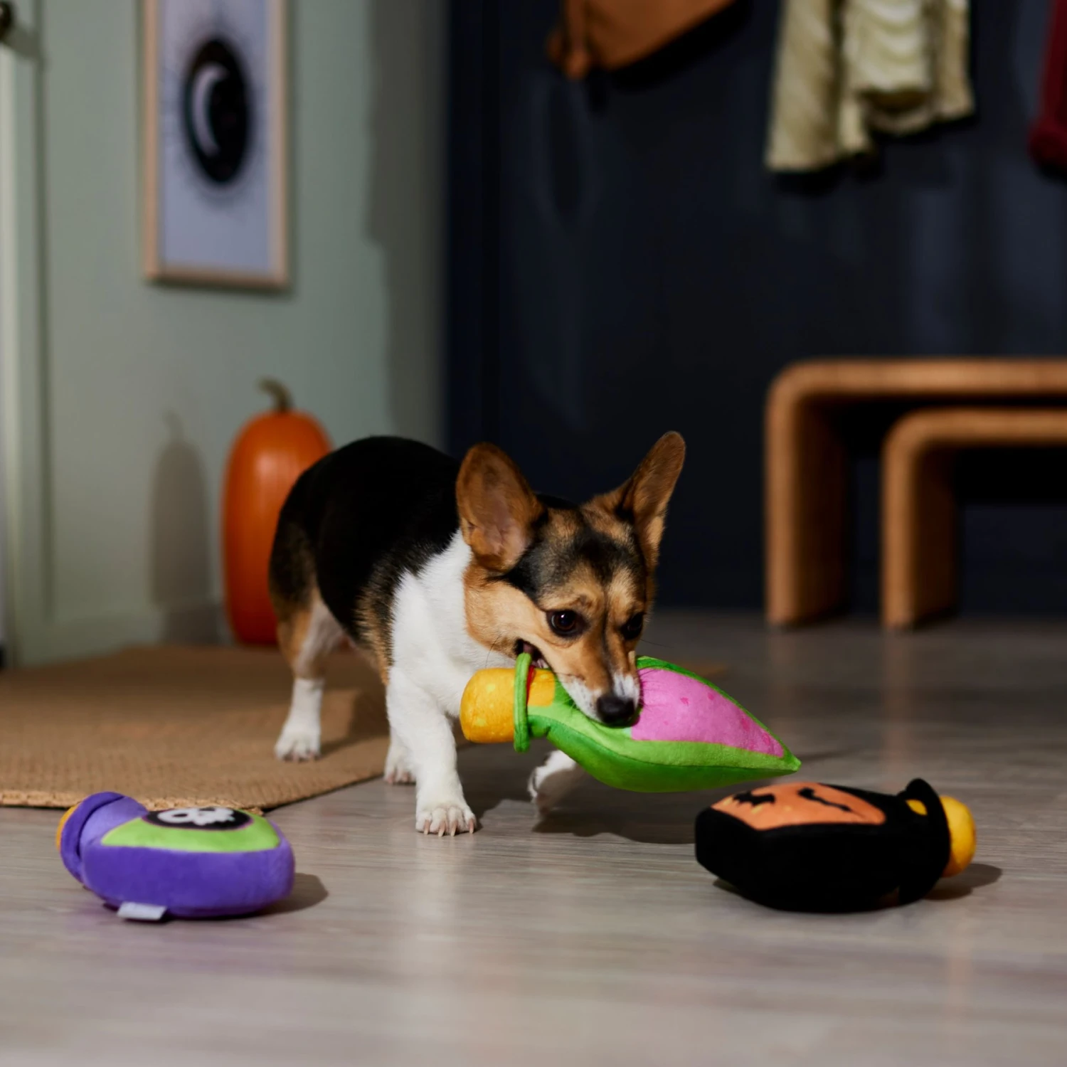 Frisco Halloween Potion Bottles Plush Squeaky Dog Toy - Image 3