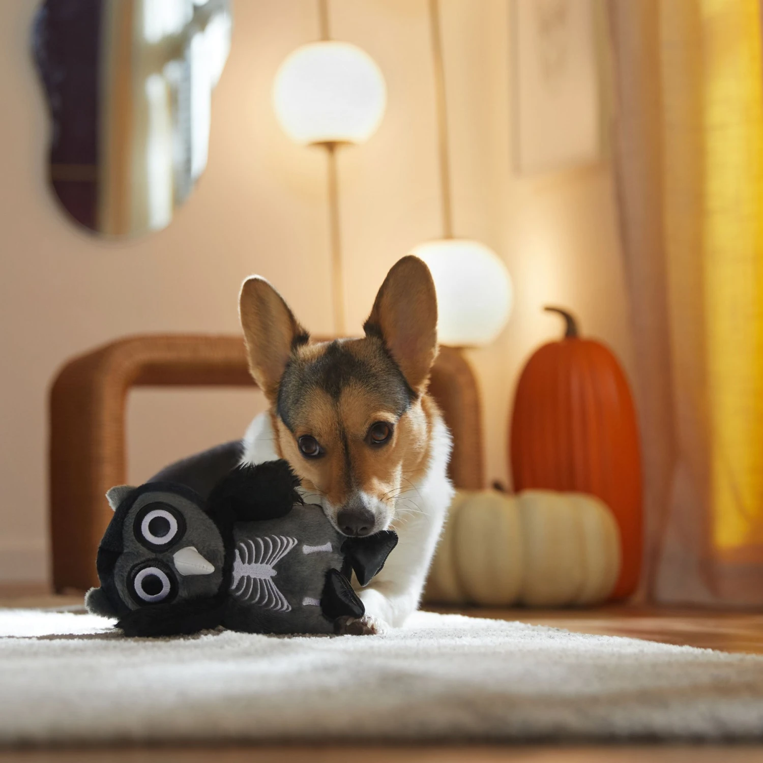 Frisco Halloween Spooky Owl Plush Squeaky Dog Toy - Image 3