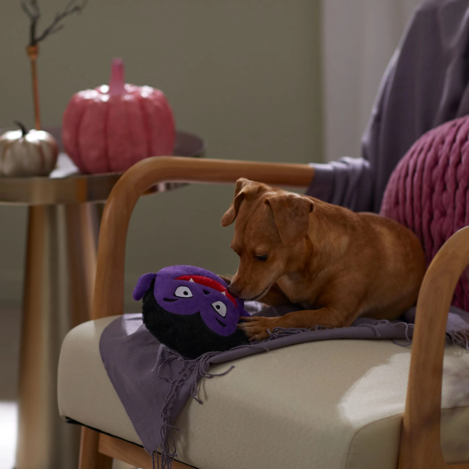 Frisco Halloween Vampire Round Plush Squeaky Dog Toy - Image 3