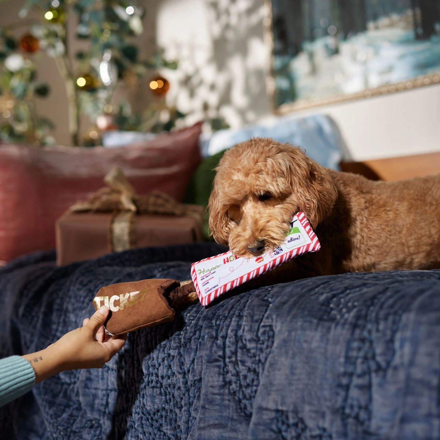 Frisco Holiday Home For The Holidays Airline Ticket Bungee Plush Squeaky Dog Toy - Image 4