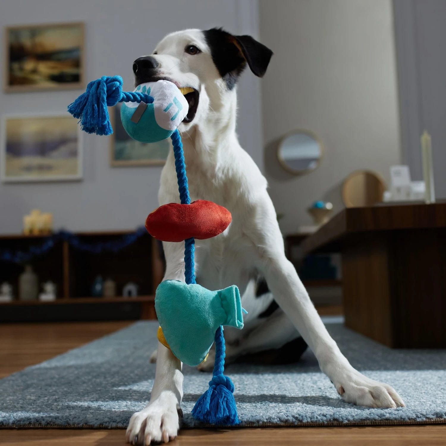 Frisco Hanukkah Celebration Plush With Rope Squeaky Dog Toy - Image 3