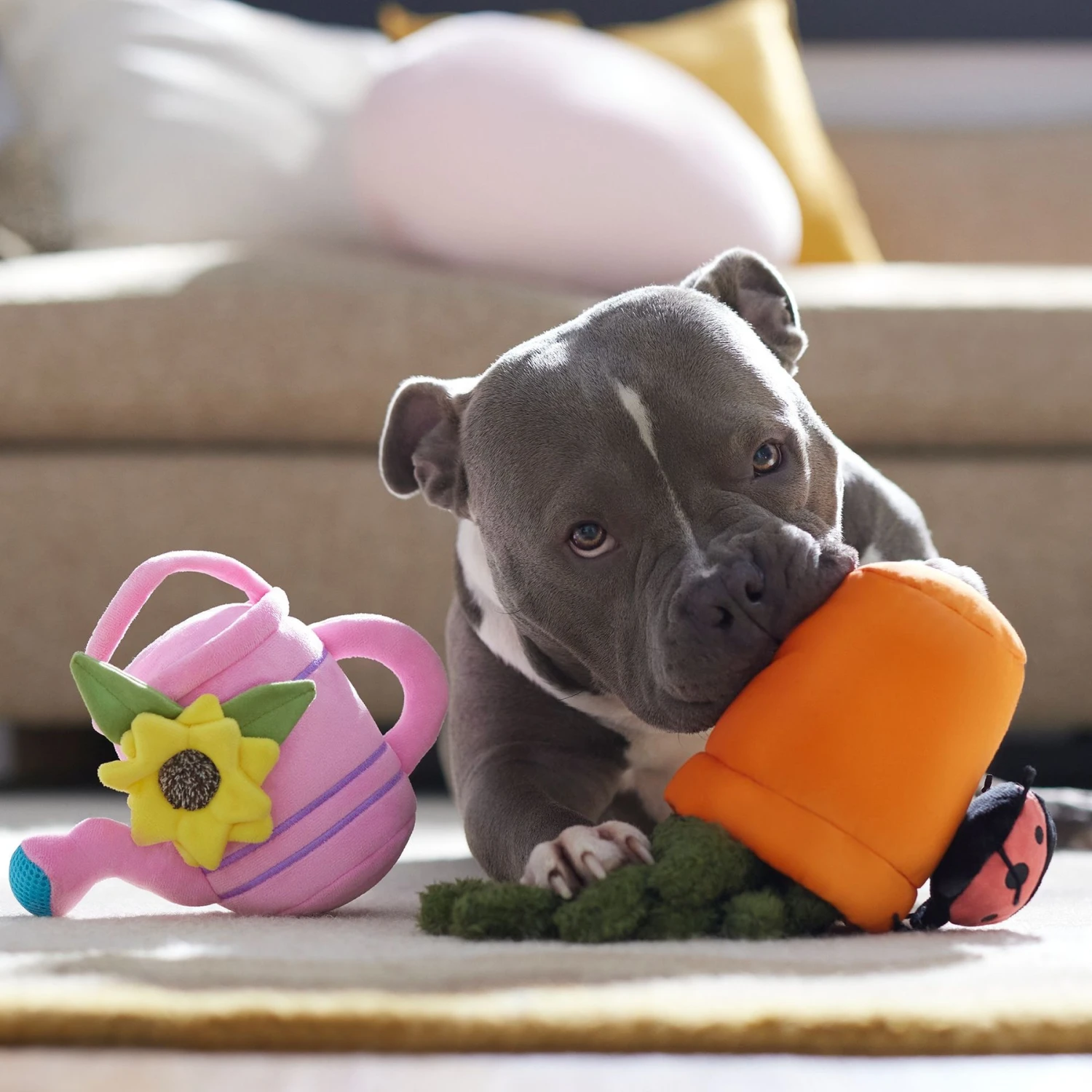 Frisco Spring Potted Plant And Watering Can Plush Squeaky Dog Toy - Image 4