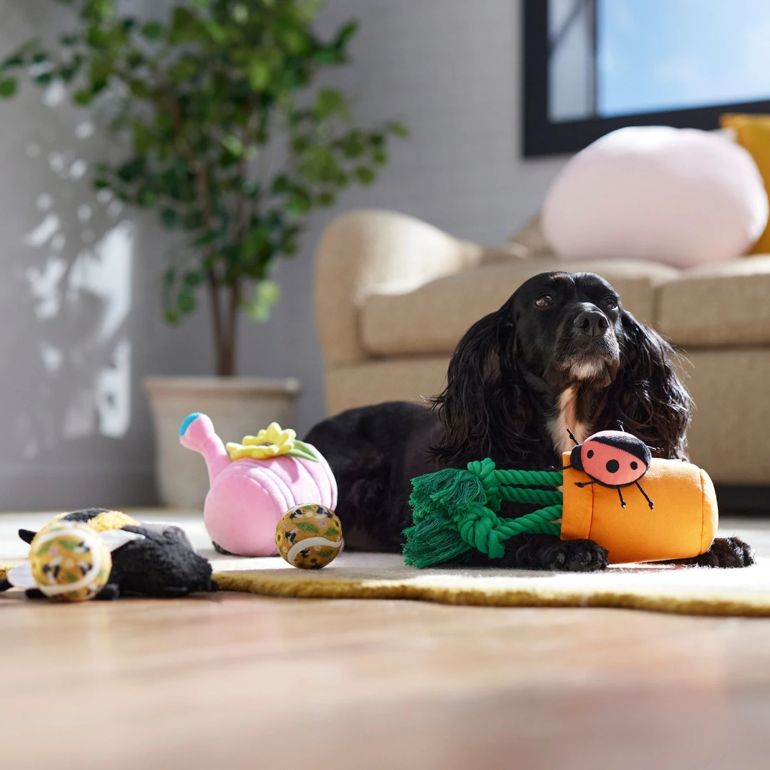 Frisco Spring Plush & Rope Variety Pack Squeaky Dog Toy - Image 4