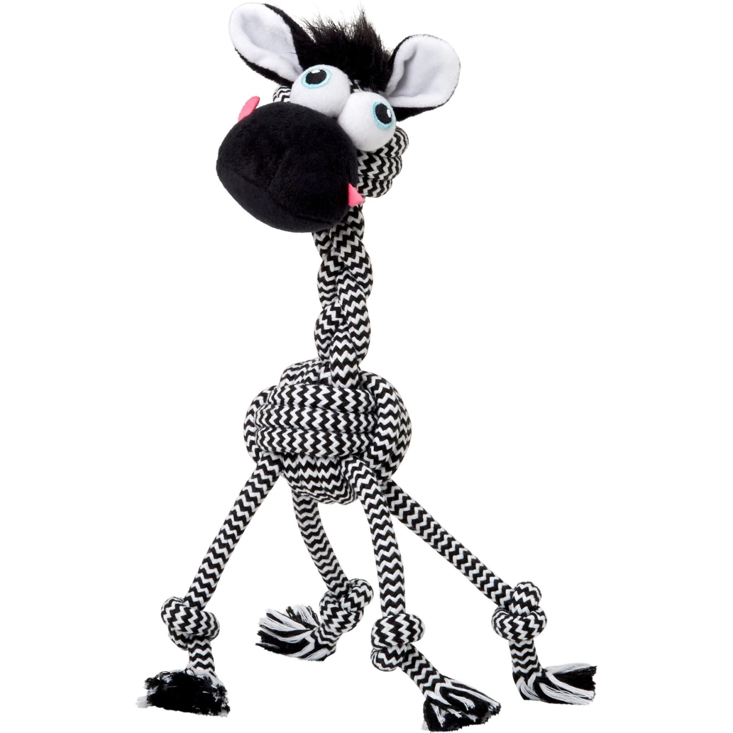 Frisco Fold & Carry Single Door Collapsible Wire Dog Crate + 4 Items - Image 8