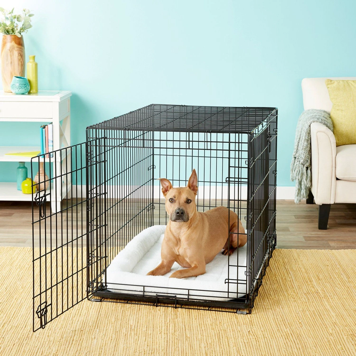 Frisco Swirl Dog Crate Mat + 3 Items - Image 2