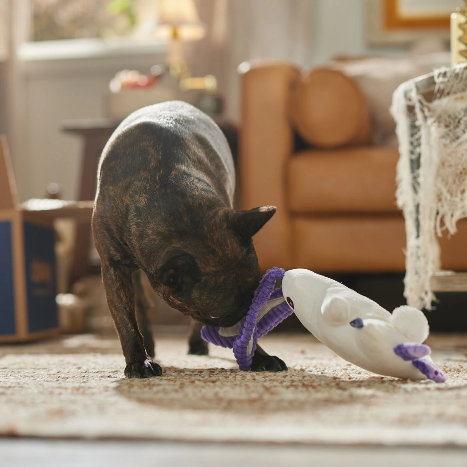 Frisco Halloween Bunny Ghost Plush Squeaky Dog Toy - Image 4