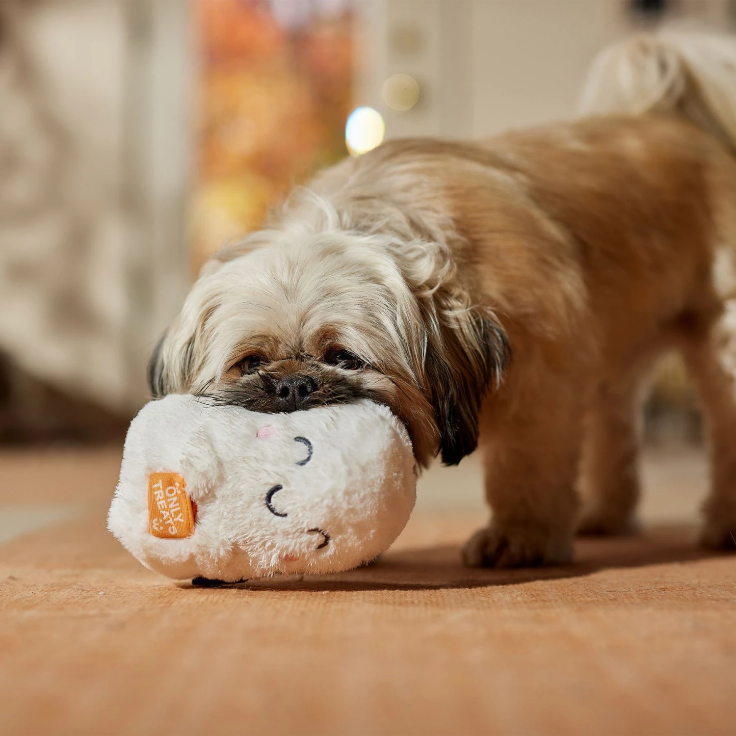 Frisco Halloween Trick Or Treat Ghost Plush Squeaky Dog Toy - Image 4