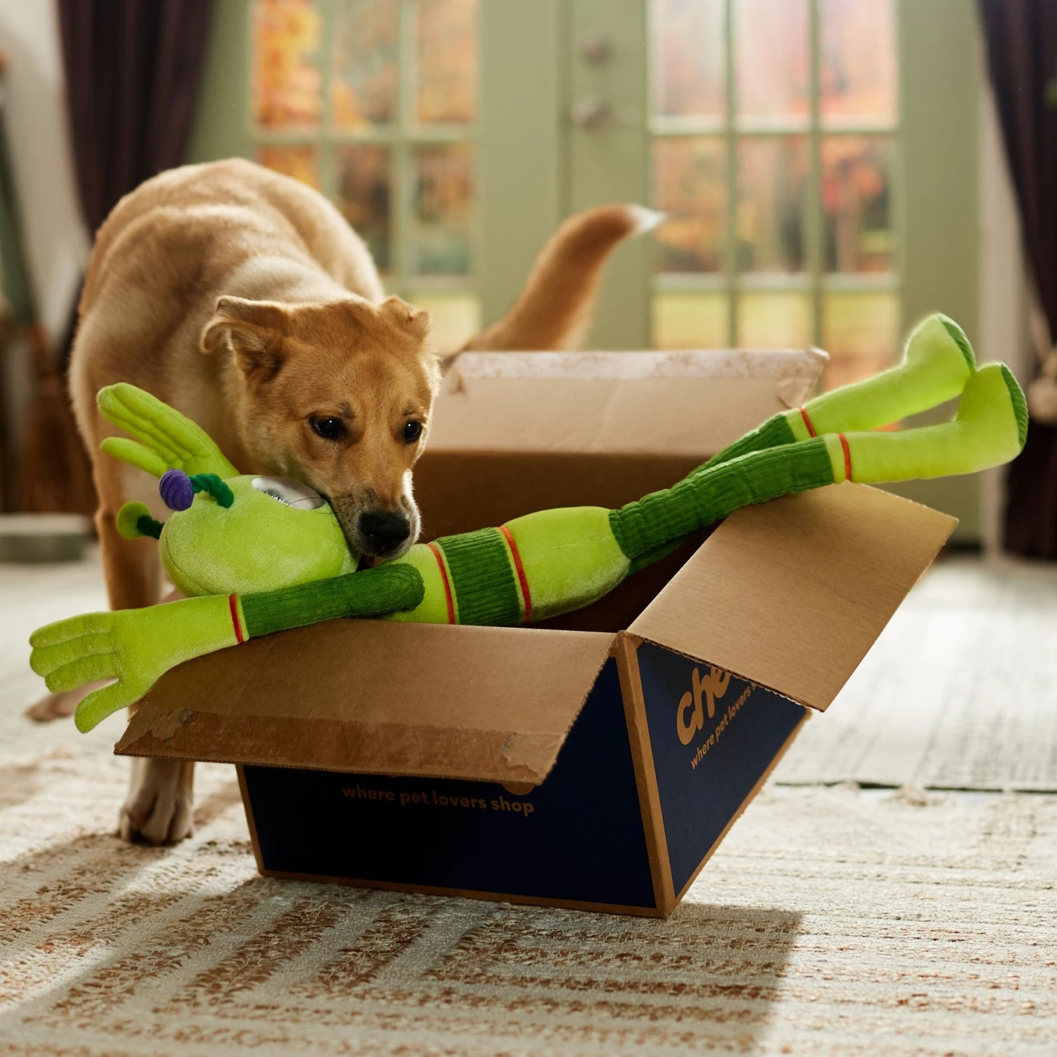 Frisco Halloween Alien Wagazoo Plush Squeaky Dog Toy, Extra Long - Image 4