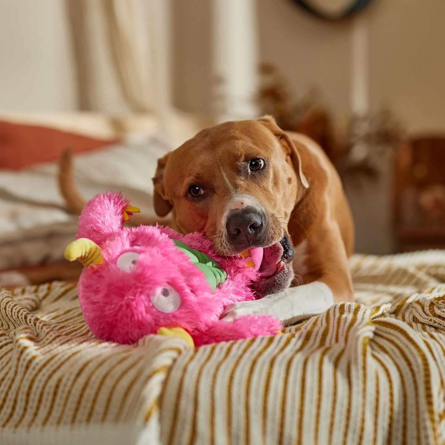 Frisco Halloween Zany Monster Muscle Plush Squeaky Dog Toy - Image 4