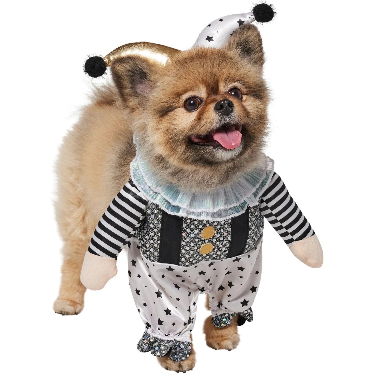Frisco Front Walking Glitter Clown Dog & Cat Costume - Image 4