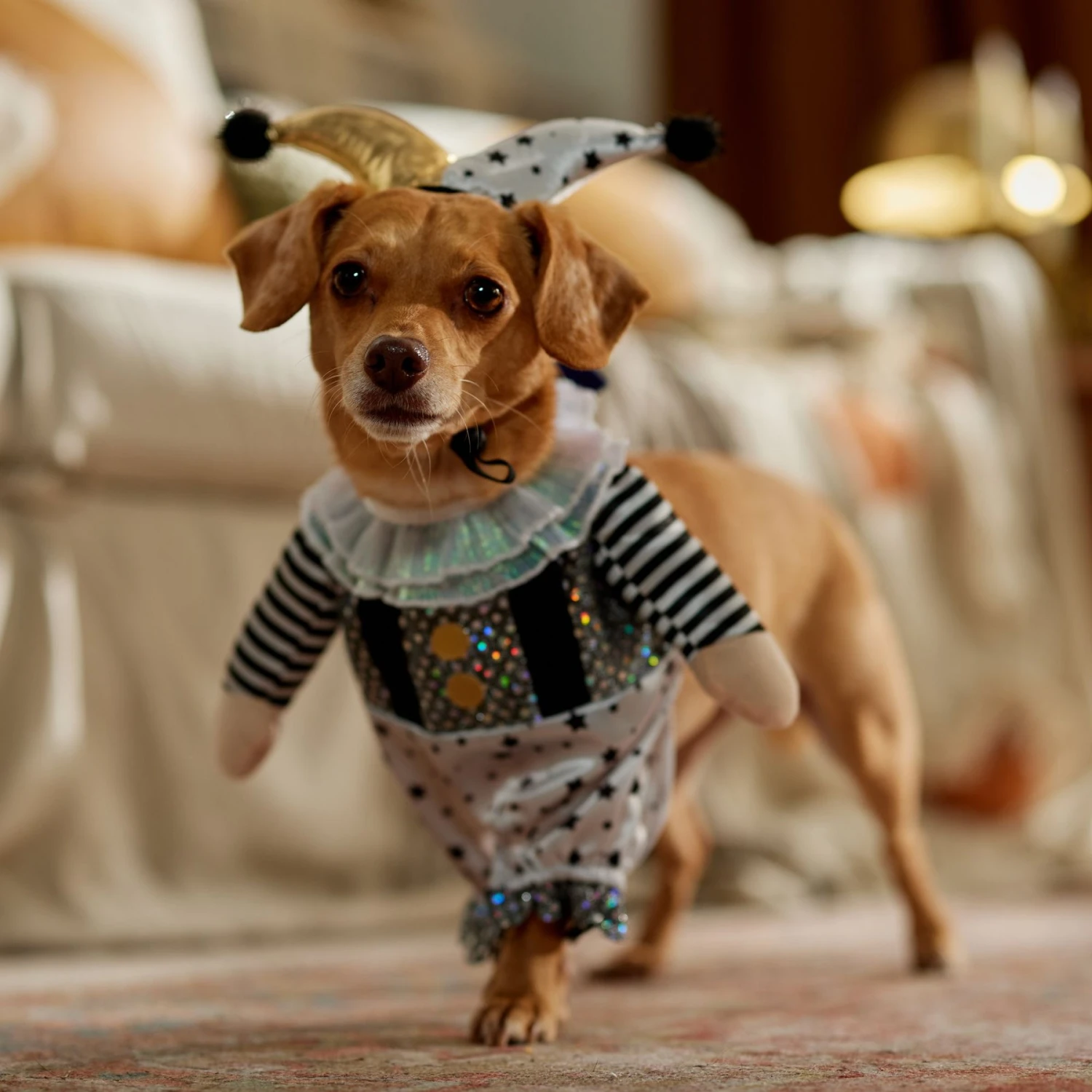 Frisco Front Walking Glitter Clown Dog & Cat Costume - Image 8