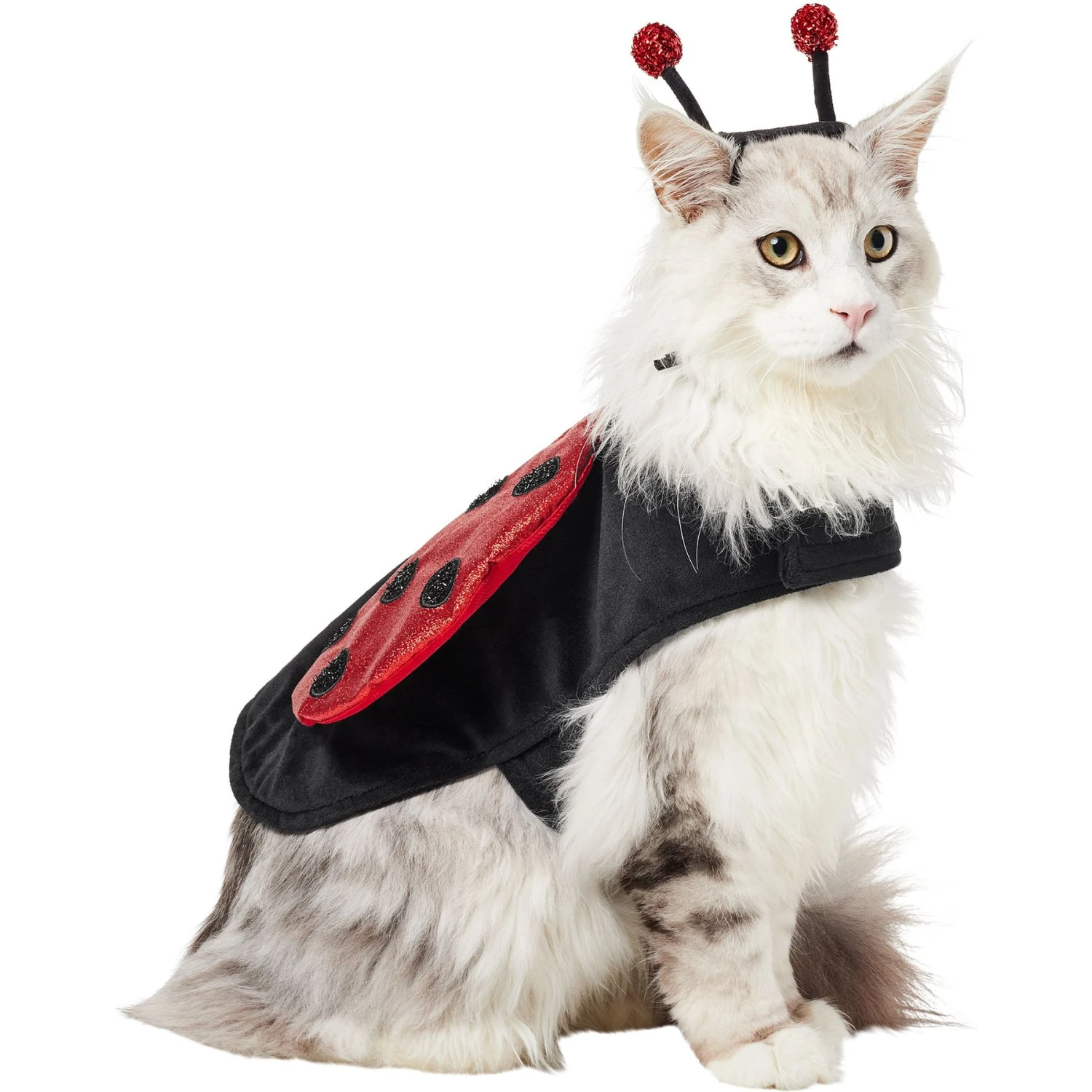 Frisco Glittered Ladybug Dog & Cat Costume - Image 3