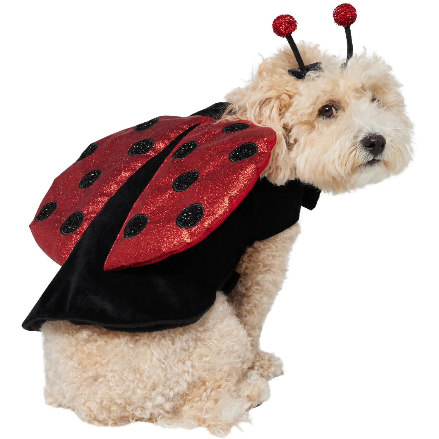 Frisco Glittered Ladybug Dog & Cat Costume - Image 4