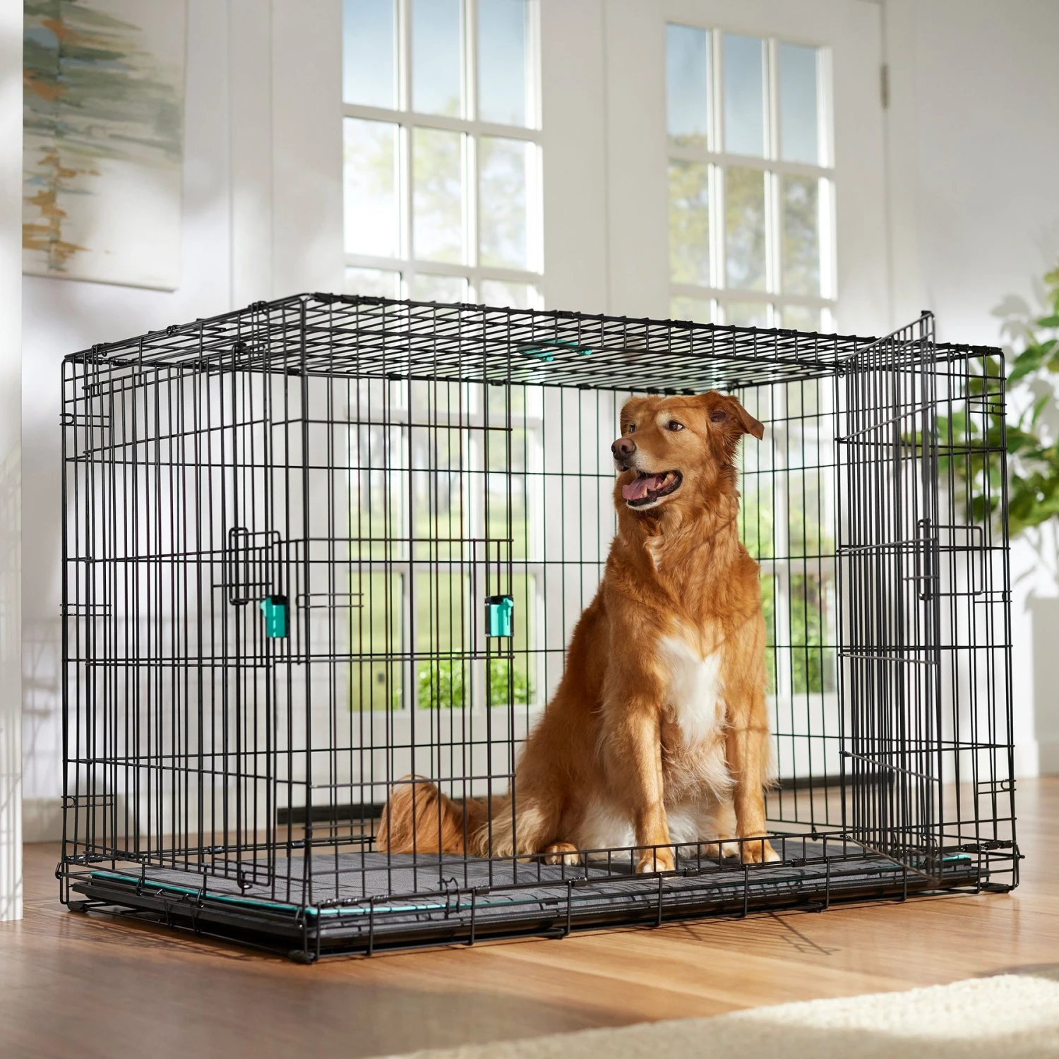 Frisco Heavy Duty Enhanced Lock Double Door Fold & Carry Wire Dog Crate & Mat Kit & MidWest Quiet Time Fleece Dog Crate Mat - Image 2