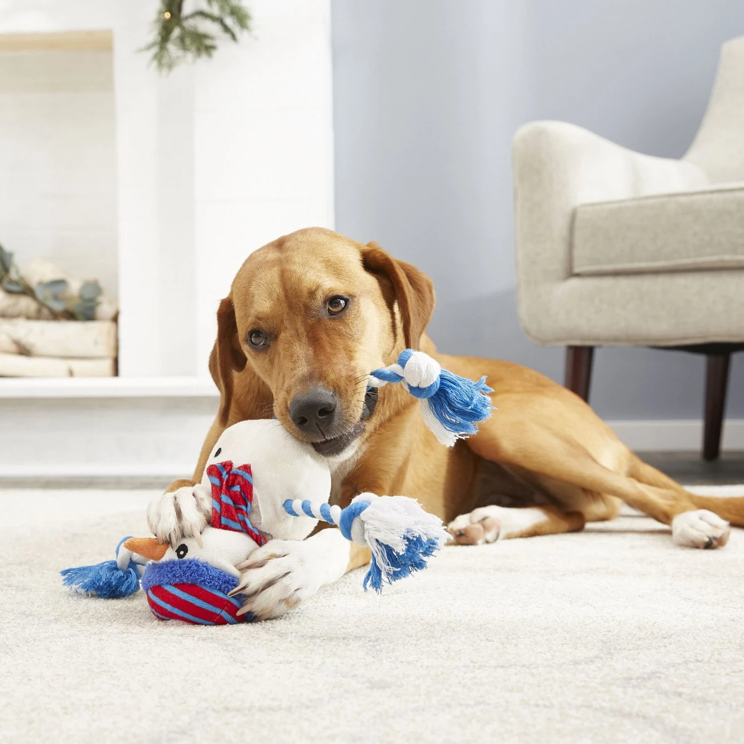 Frisco Holiday Snowman Plush With Rope Squeaky Dog Toy & Frisco Holiday Reindeer Plush With Rope Squeaky Dog Toy - Image 5