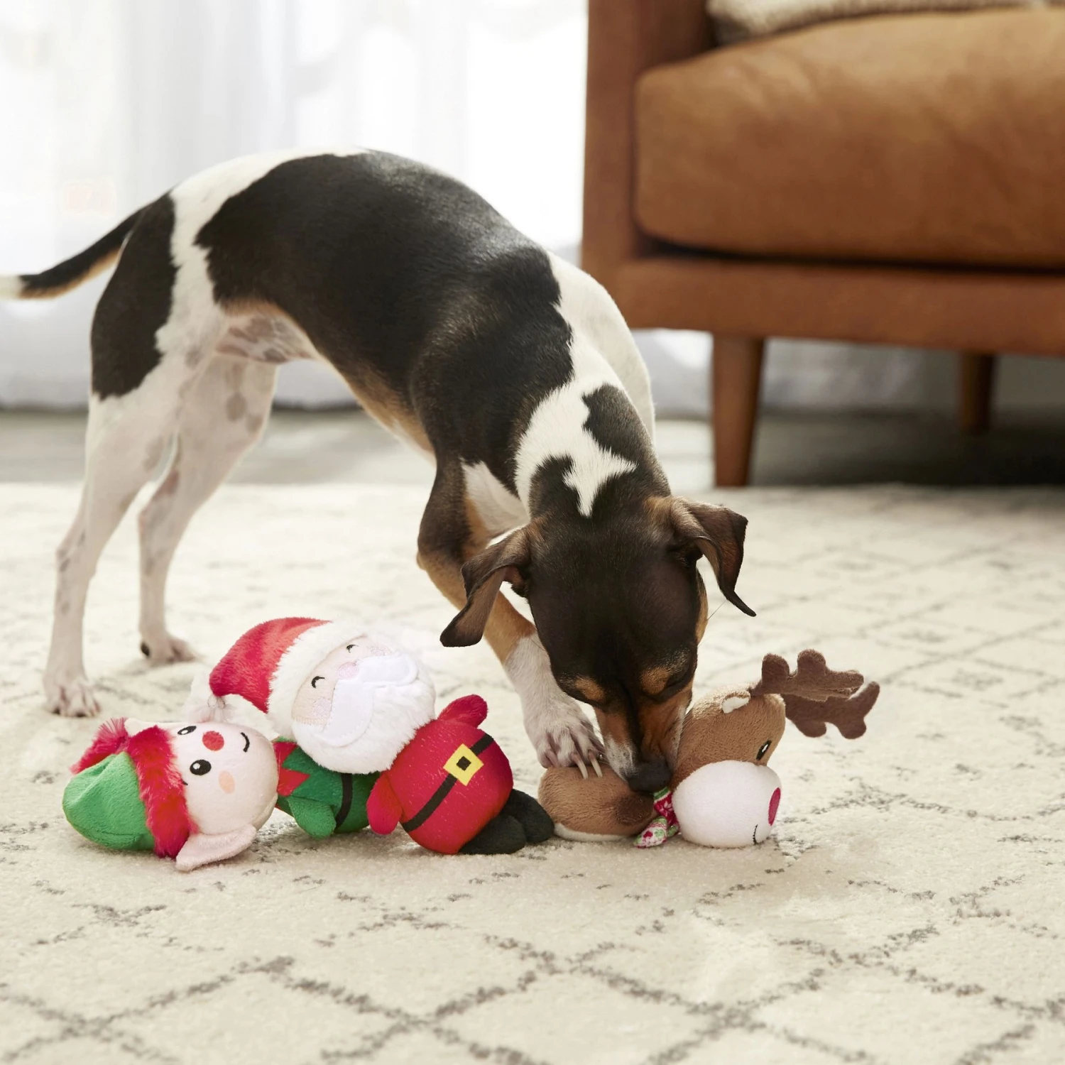 Frisco Holiday Santa's Helpers Plush Squeaky Dog Toy, 3 Count & Frisco Holiday Ho Ho Ho Fetch Squeaky Tennis Ball Dog Toy - Image 4